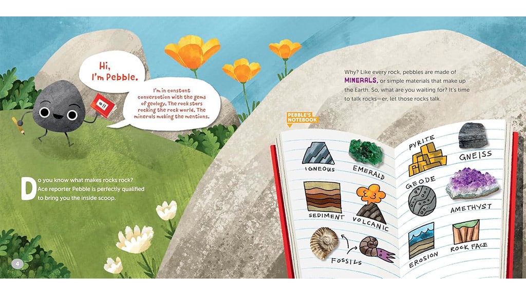Тази нова картинна книга разказва всичко за камъните