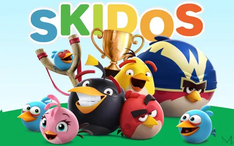 SKIDOS съчетава образованието с развлечението в мини игрите на Angry Birds