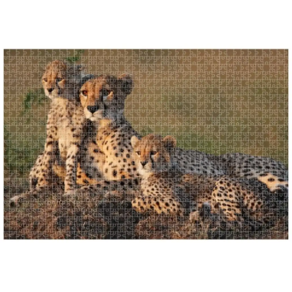 Animal Planet: Семейство гепарди 1000 части пъзел изображение 2
