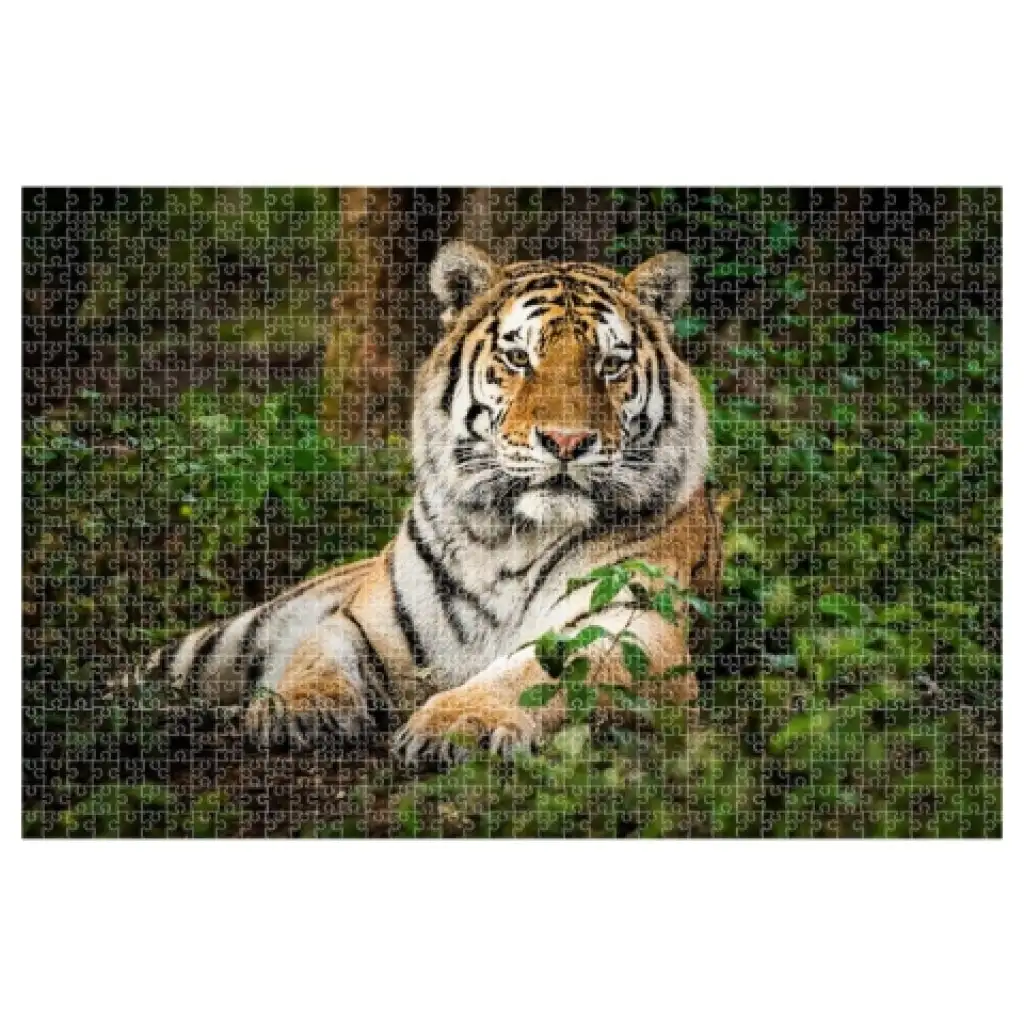 Animal Planet: Тигър 1000 части пъзел изображение 2