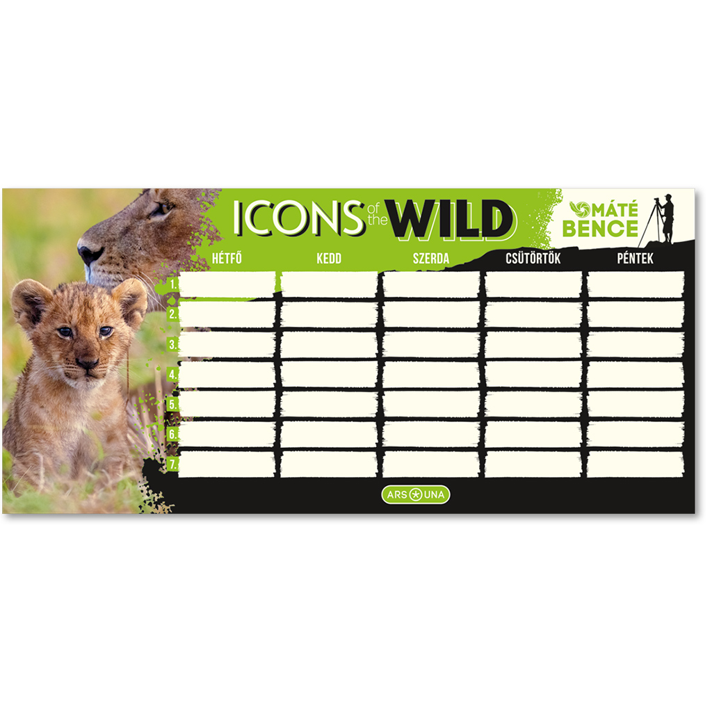 Ars Una: Мате Бенце Icons of the Wild-Lions едностранен, двустранен учебен график изображение 1