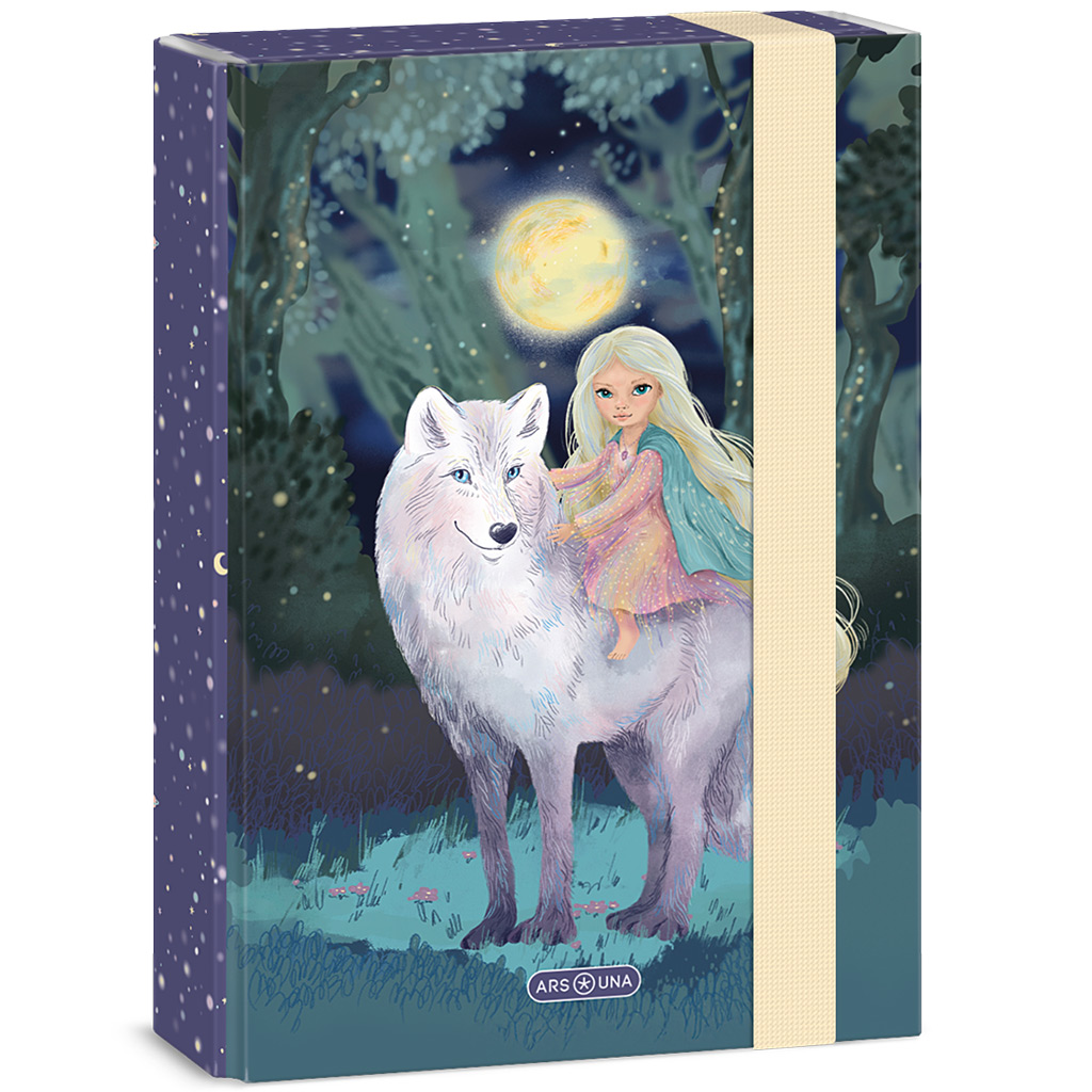Ars Una: Northern Lights тетрадка кутия A/5 изображение 1