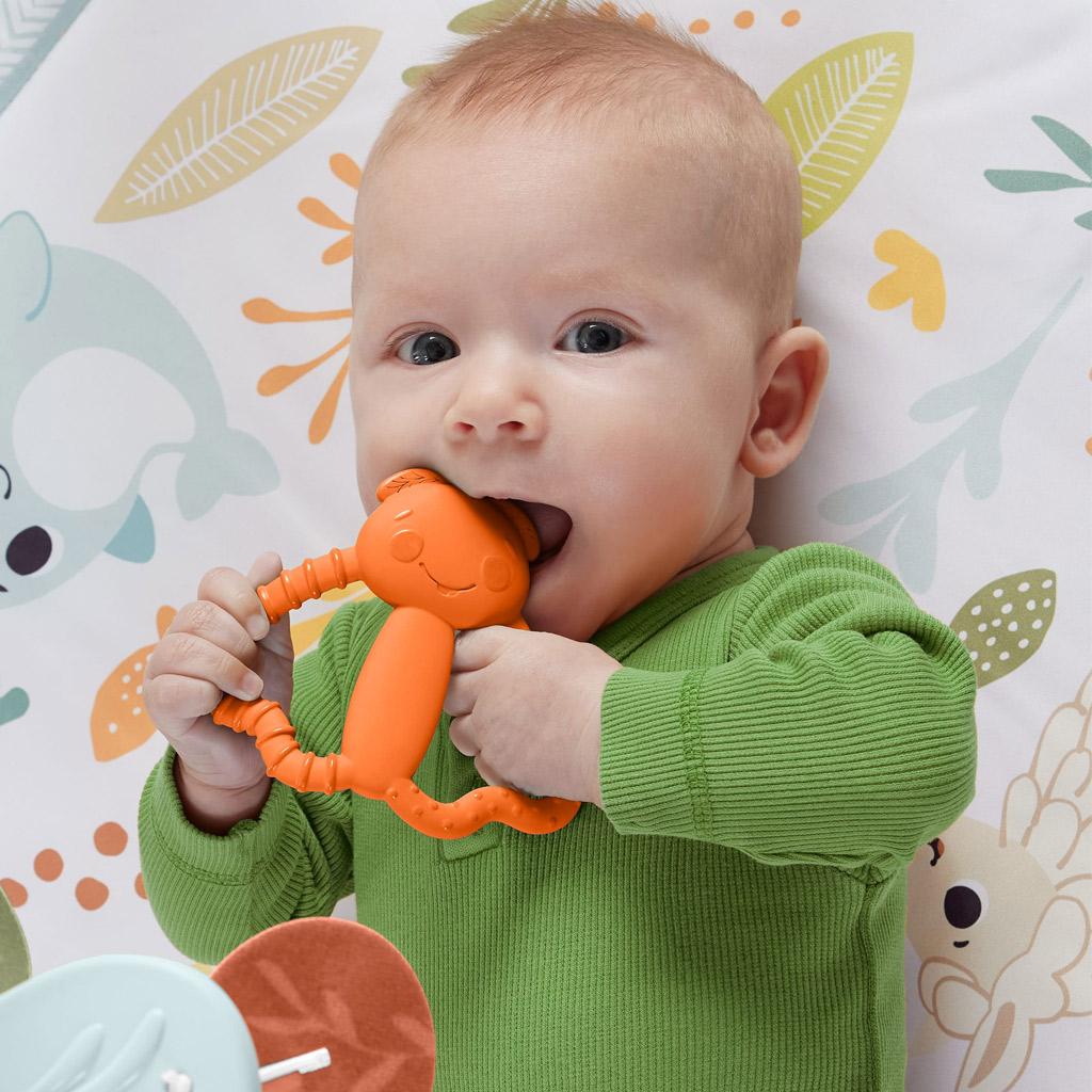 Fisher-Price: Забавни фигурки Бръмбар гризалка - Mattel изображение 3