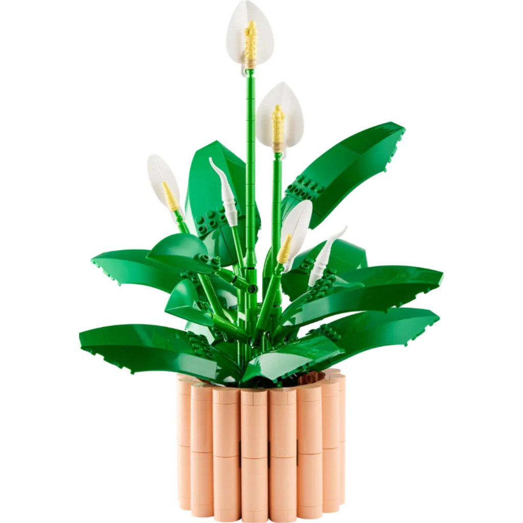 LEGO® Botanicals: Виторалавиряг (11504) изображение 2