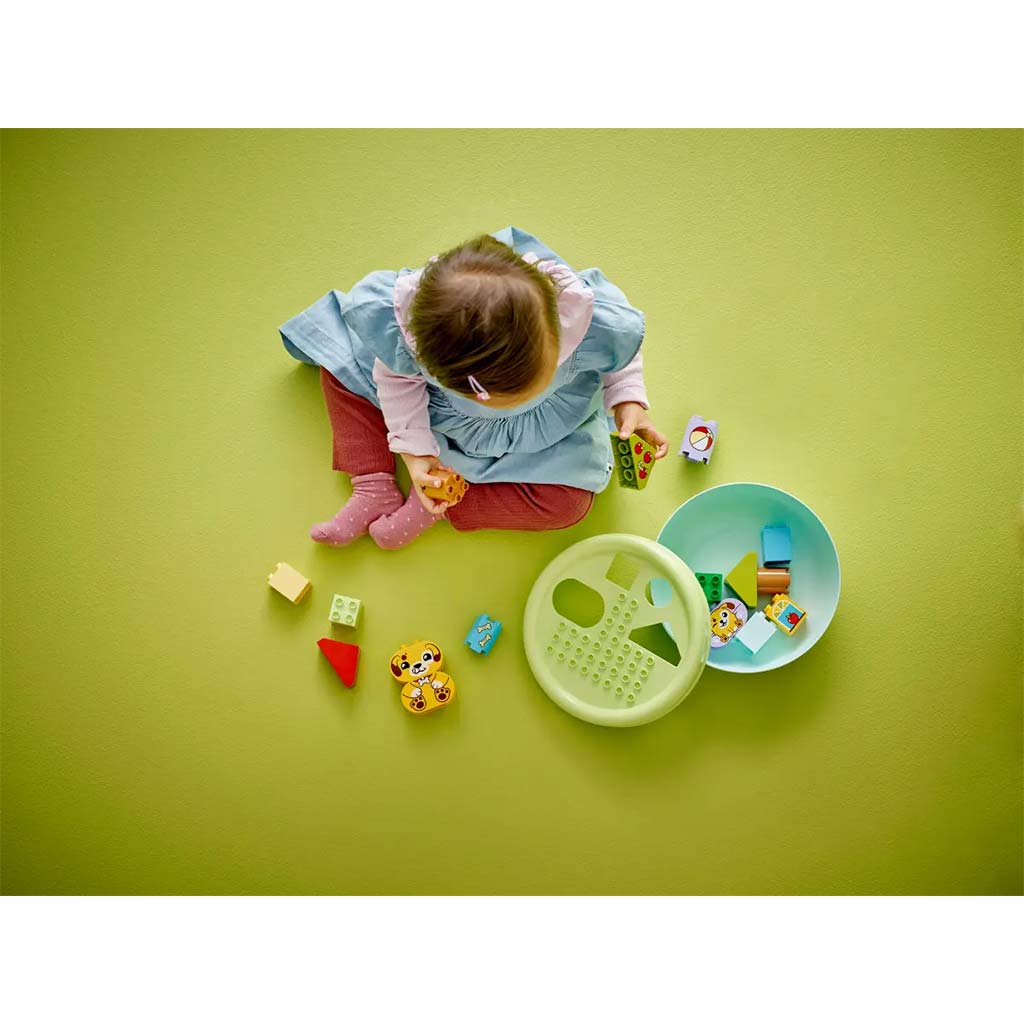 LEGO® DUPLO®: Формообразувач: Кучешка къща (10441) изображение 7