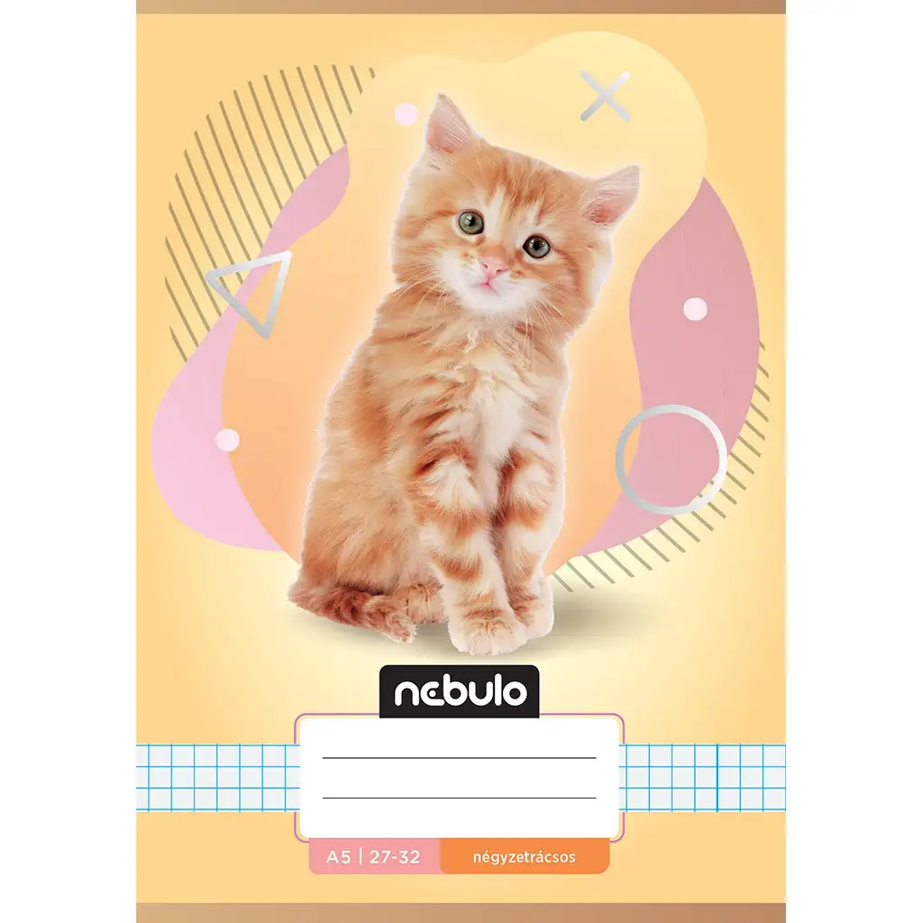 Nebulo: Тетрадка с котешки мотиви A/5 27-32 изображение 1