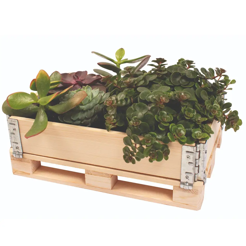 PlayBox: Палетна кутия от дърво 18x28x8,65cm изображение 3