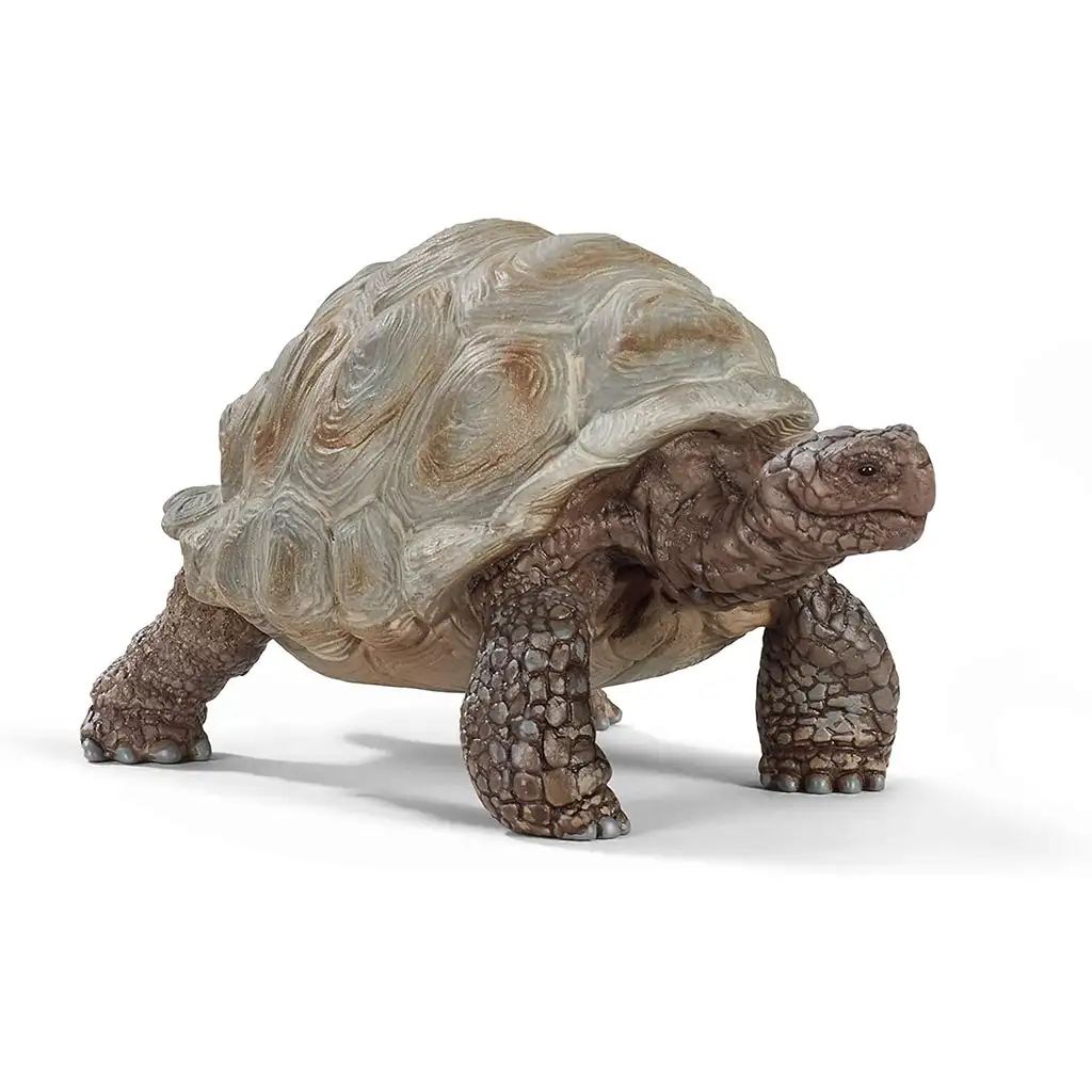 Schleich: Фигура на гигантска костенурка (14824) изображение 1