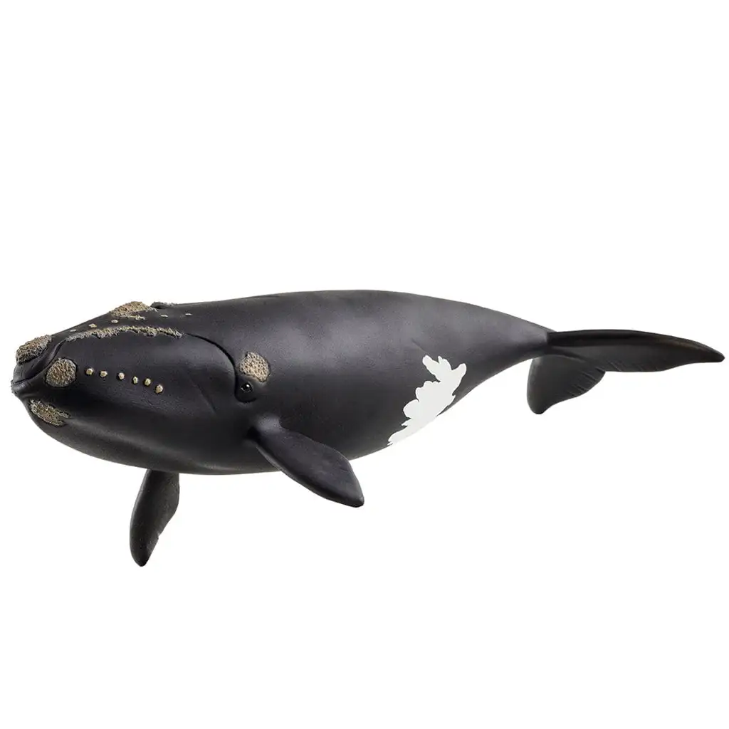 Schleich: Фигура на северноатлантически кит (14878) изображение 1