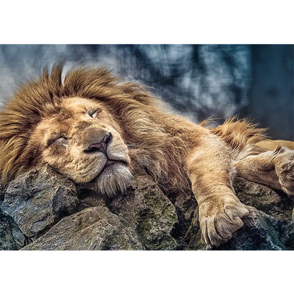 Спящ лъв 1000 части премиум пъзел - Trefl изображение 2