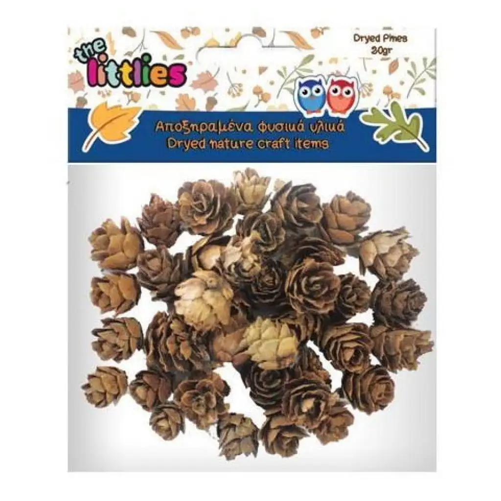 Сушена борова шишарка 20гр изображение 1