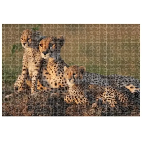 Animal Planet: Семейство гепарди 1000 части пъзел изображение 2