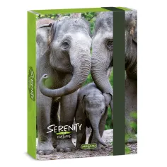 Ars Una: Serenity Слон A5 кутия за тетрадки