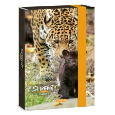 Ars Una: Serenity Ягуар A5 кутия за тетрадки