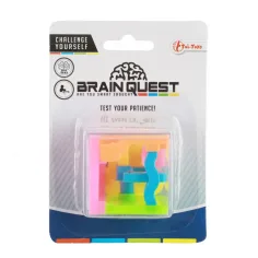 Brain Quest кубичен лабиринт игра за сръчност