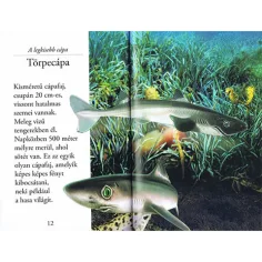 Чети с нас! (2) - Светът на акули детска книга изображение 2