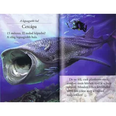 Чети с нас! (2) - Светът на акули детска книга изображение 3