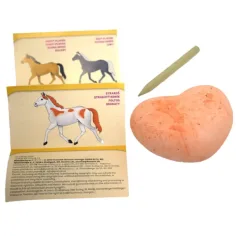 Horse Friends изненада конче