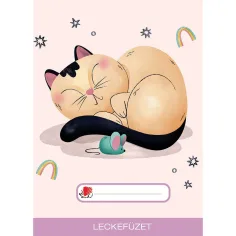 ICO: Dreaming Cat с мотиви тетрадка A/5