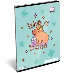 ICO: LizzySuli Lollipop Capybara с шарки тетрадка A/4 27-32 изображение 1