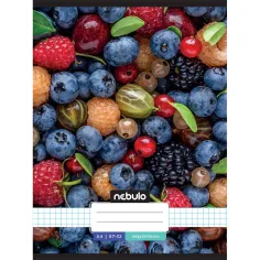 Nebulo: Плодов тетрадка с каре 87-32 A/4