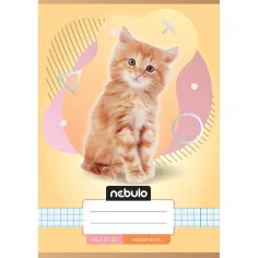 Nebulo: Тетрадка с котешки мотиви A/5 27-32