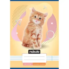Nebulo: Тетрадка с котешки мотиви за 4-ти клас A/5 21-32