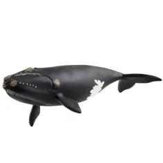 Schleich: Фигура на северноатлантически кит (14878)