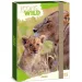 Ars Una: Icons of the Wild Lions A/4 тетрадка кутия