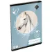 ICO: LizzySuli Wild Beauty Sport Club гладък тетрад A/5 20-32