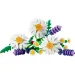 LEGO® Botanicals: Маргаритки (11508) изображение 2