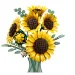LEGO® Botanicals: Слънчогледов букет (11502) изображение 3