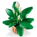 LEGO® Botanicals: Спатифилум (11504) изображение 4