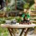 LEGO® Creator: Бонсай дърво (10281) изображение 5