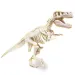 Наука и игра: Флуоресцентен Т-Rex археологически комплект - Clementoni изображение 3