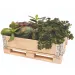 PlayBox: Палетна кутия от дърво 18x28x8,65cm изображение 3