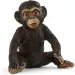 Schleich: Фигура на малко шимпанзе (14884)