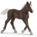 Schleich: Фигура на шварцвалдско жребче (13899)