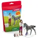 Schleich: Грижа за коня с тракенерско жребче (42752)