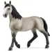 Schleich: Конен фигура Selle Français кобила (13955)