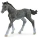 Schleich: Фигура на тракенерско конче (13944)