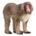 Schleich: Японска макака фигура (14871)