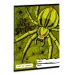 Тетрадка за речник The Wolf Spider A/5
