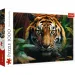 Тигър в дивата природа 1000 части HQ пъзел изображение 1